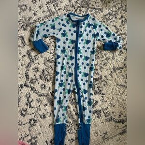 Fletch Brand Blueberry Zippy